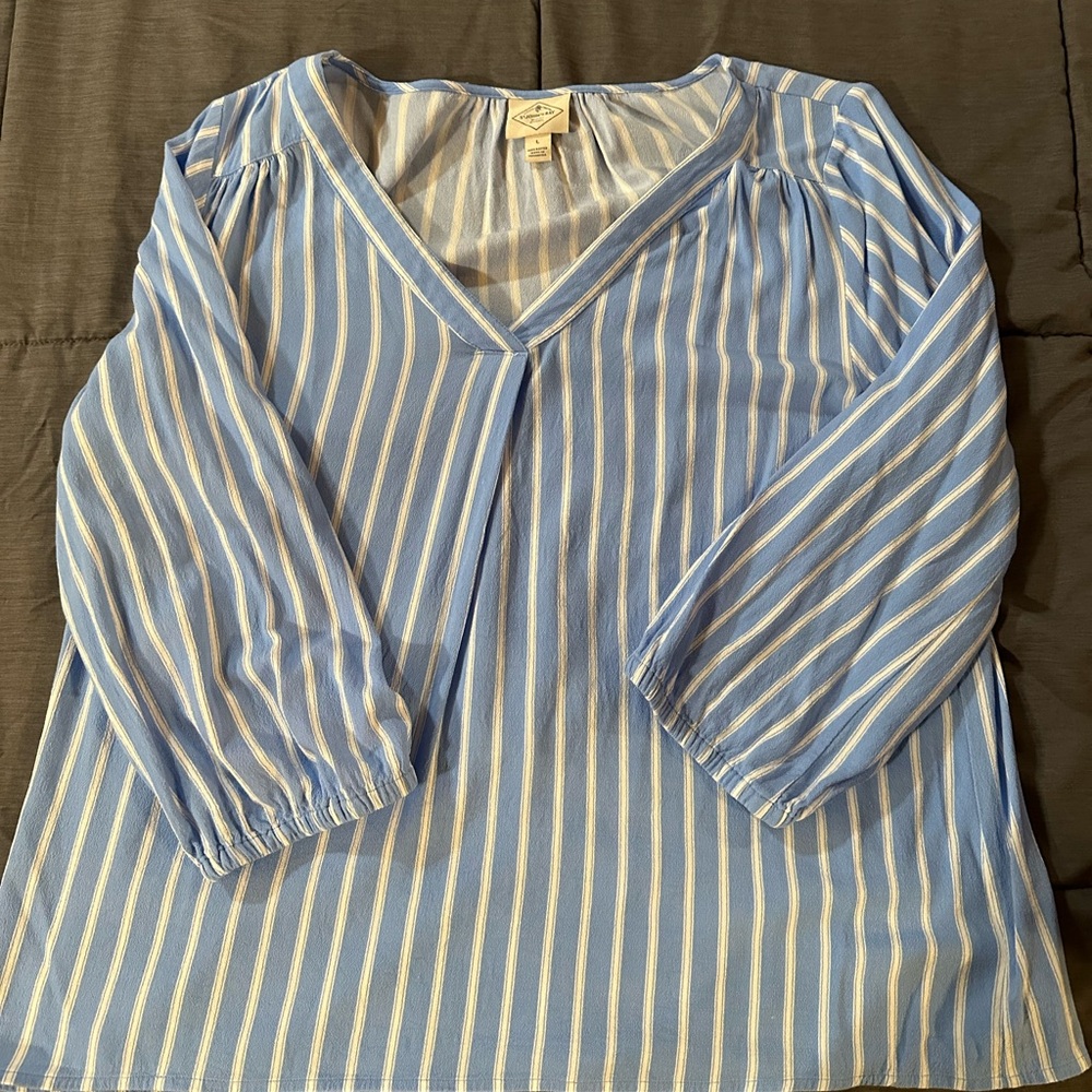 St. John's Bay Blue and White Striped V-Neck Blouse